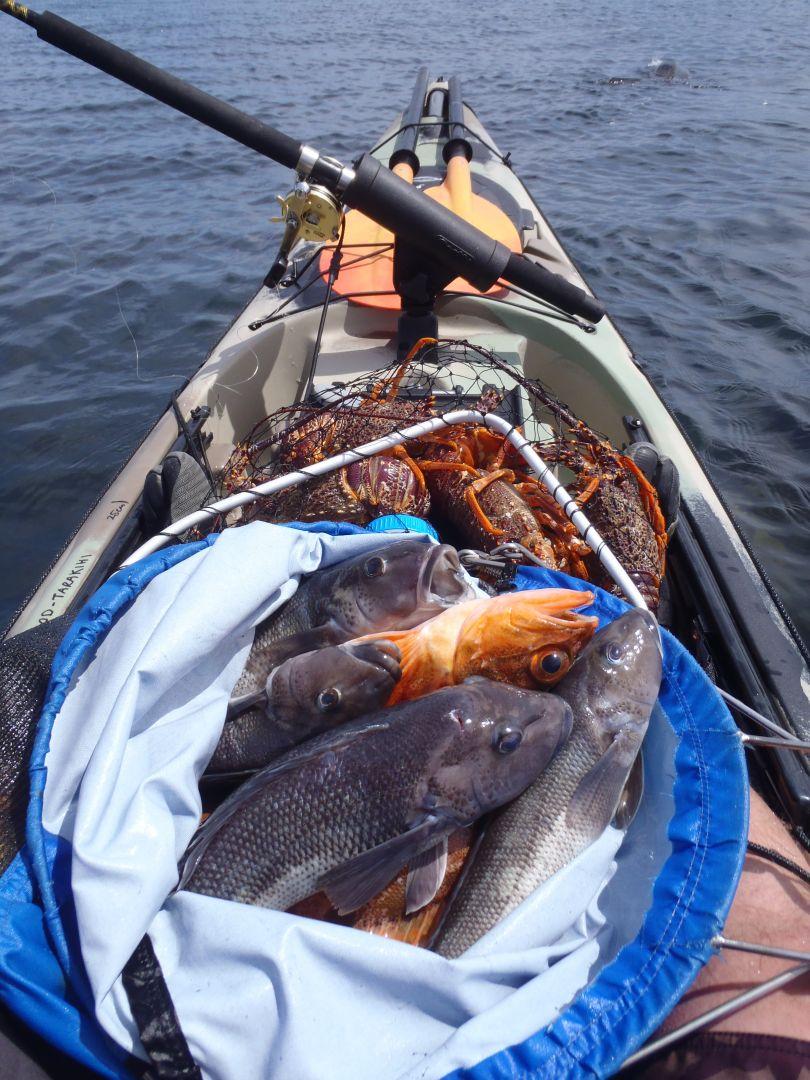 kayak travel fish