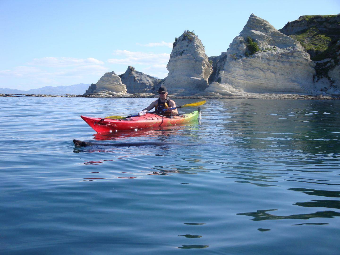 Paddle skills with Kaikoura Kayaks