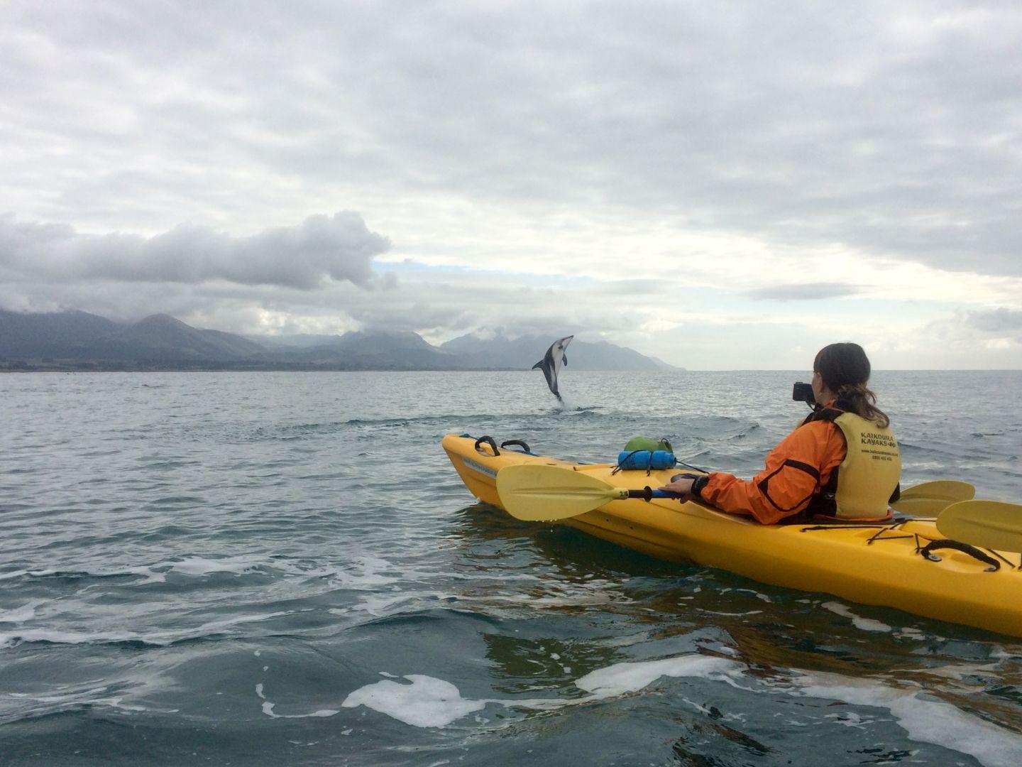 Kaikoura Kayaks