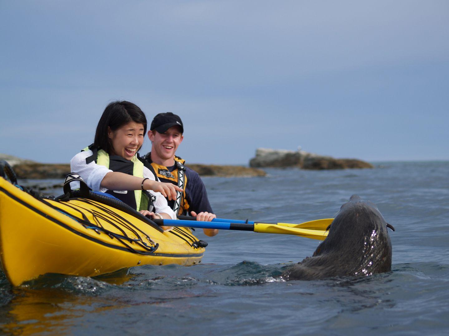 Kaikoura Kayaks