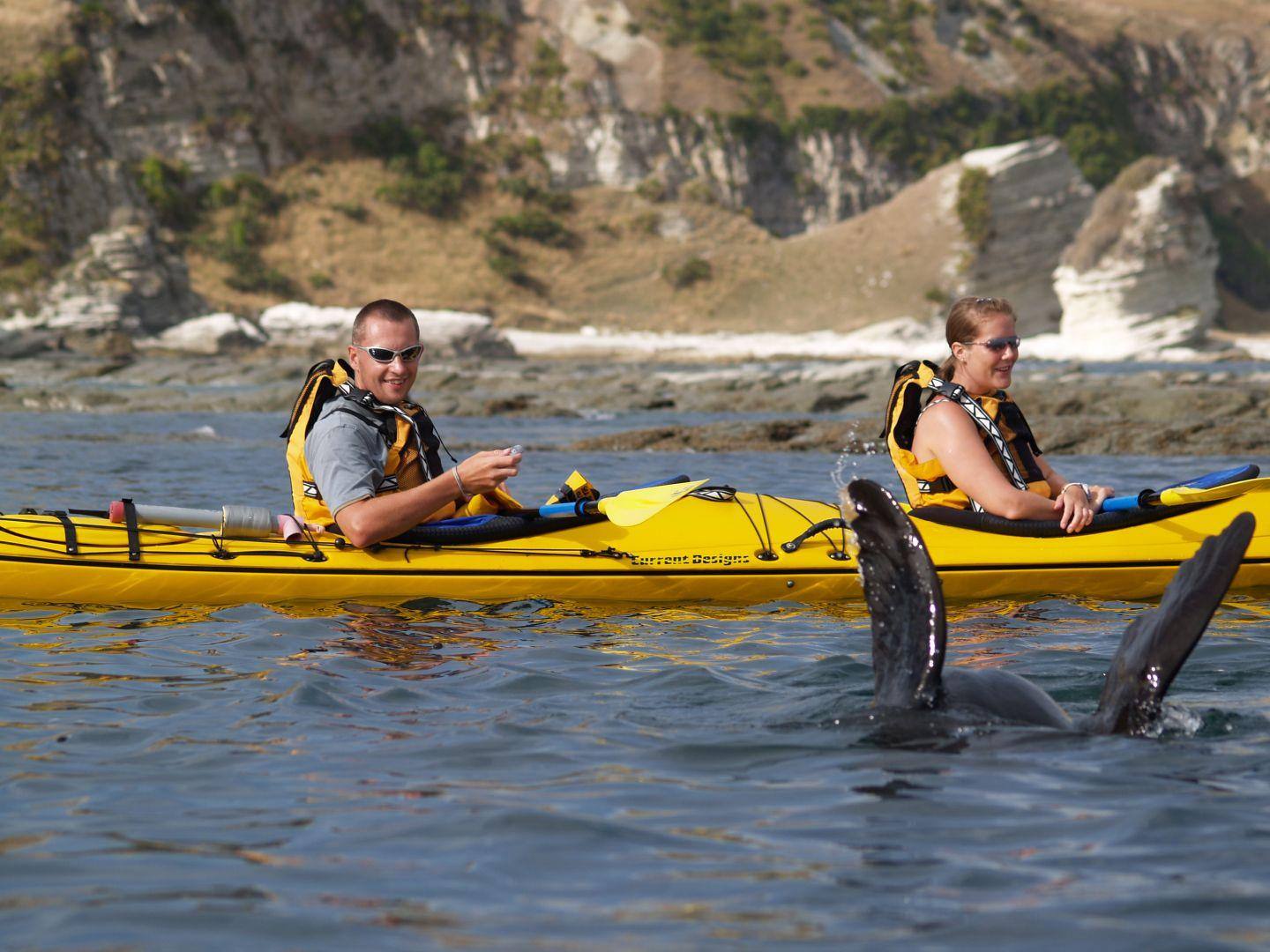 Sea Kayak Hire Kaikoura Kayaks