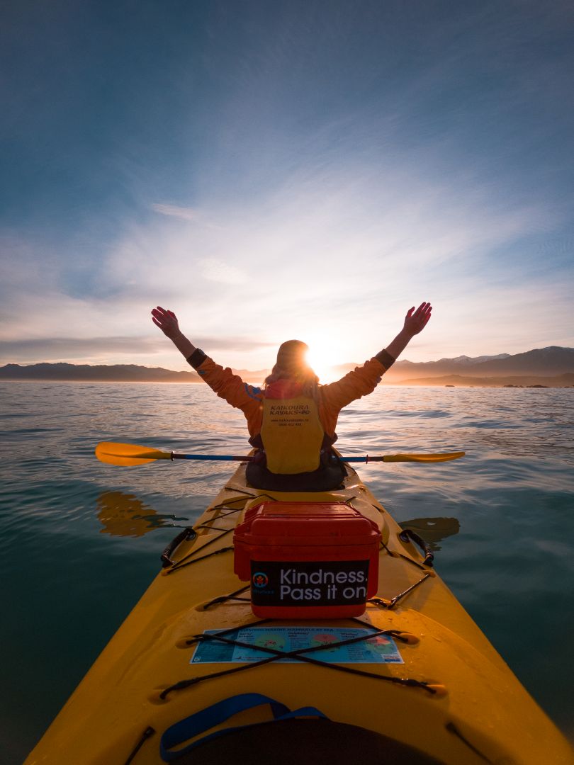 kayak tours kaikoura